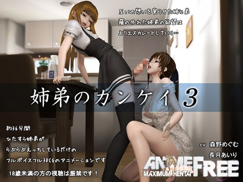 [Incomics] The Relationship of Siblings 3 [IMP Studio] [Cen] [JAP,ENG,RUS,CHI] [720p] 3D-Hentai